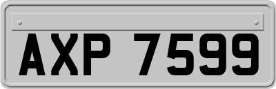 AXP7599