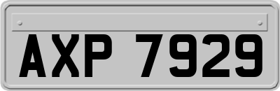 AXP7929