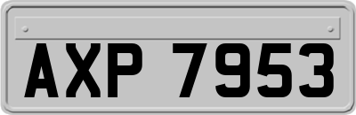 AXP7953