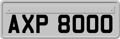 AXP8000