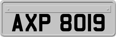 AXP8019