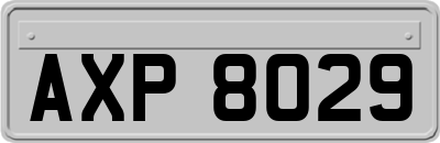 AXP8029
