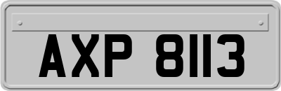 AXP8113