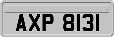 AXP8131