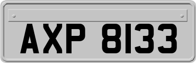 AXP8133
