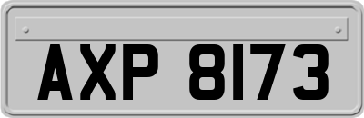 AXP8173