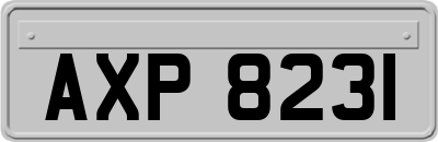 AXP8231