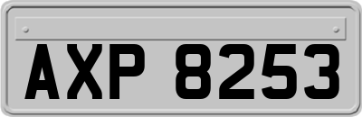 AXP8253