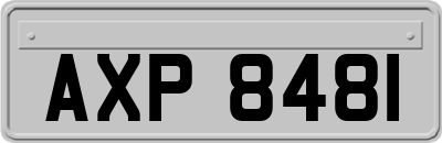 AXP8481