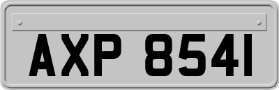 AXP8541