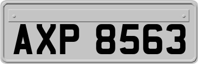 AXP8563