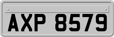 AXP8579