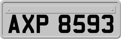 AXP8593