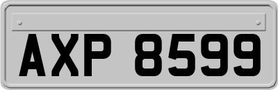 AXP8599