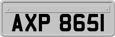 AXP8651