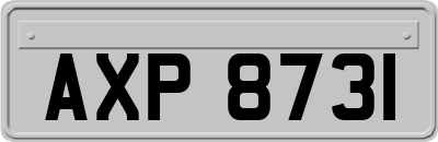 AXP8731