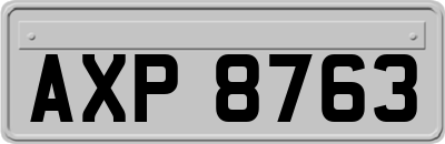AXP8763