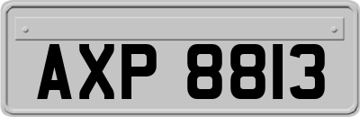 AXP8813