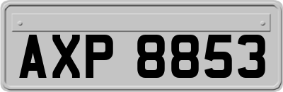 AXP8853