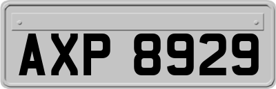 AXP8929
