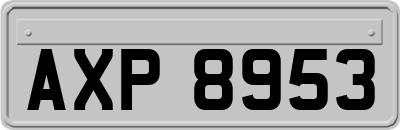 AXP8953