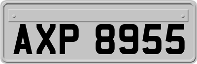 AXP8955