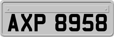 AXP8958