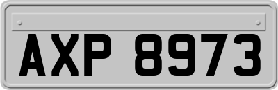 AXP8973