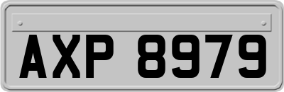 AXP8979