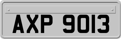 AXP9013
