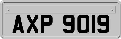 AXP9019