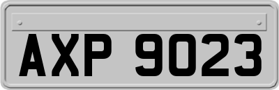 AXP9023