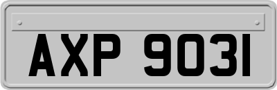 AXP9031