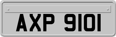 AXP9101
