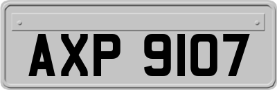AXP9107