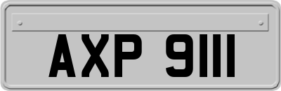 AXP9111