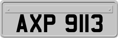 AXP9113