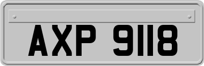 AXP9118