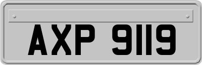 AXP9119