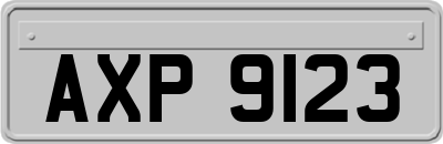 AXP9123
