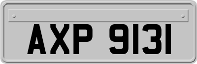 AXP9131