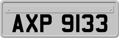 AXP9133