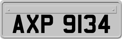 AXP9134