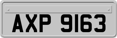 AXP9163