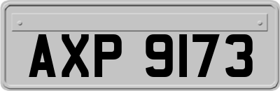 AXP9173