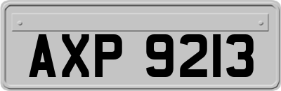 AXP9213