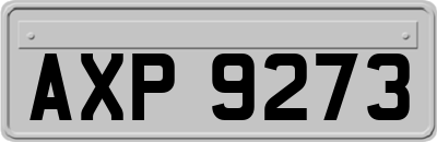 AXP9273