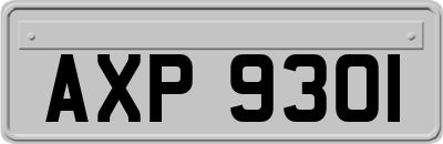 AXP9301