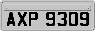 AXP9309