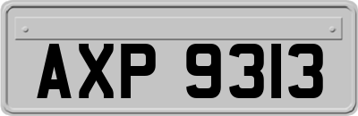 AXP9313
